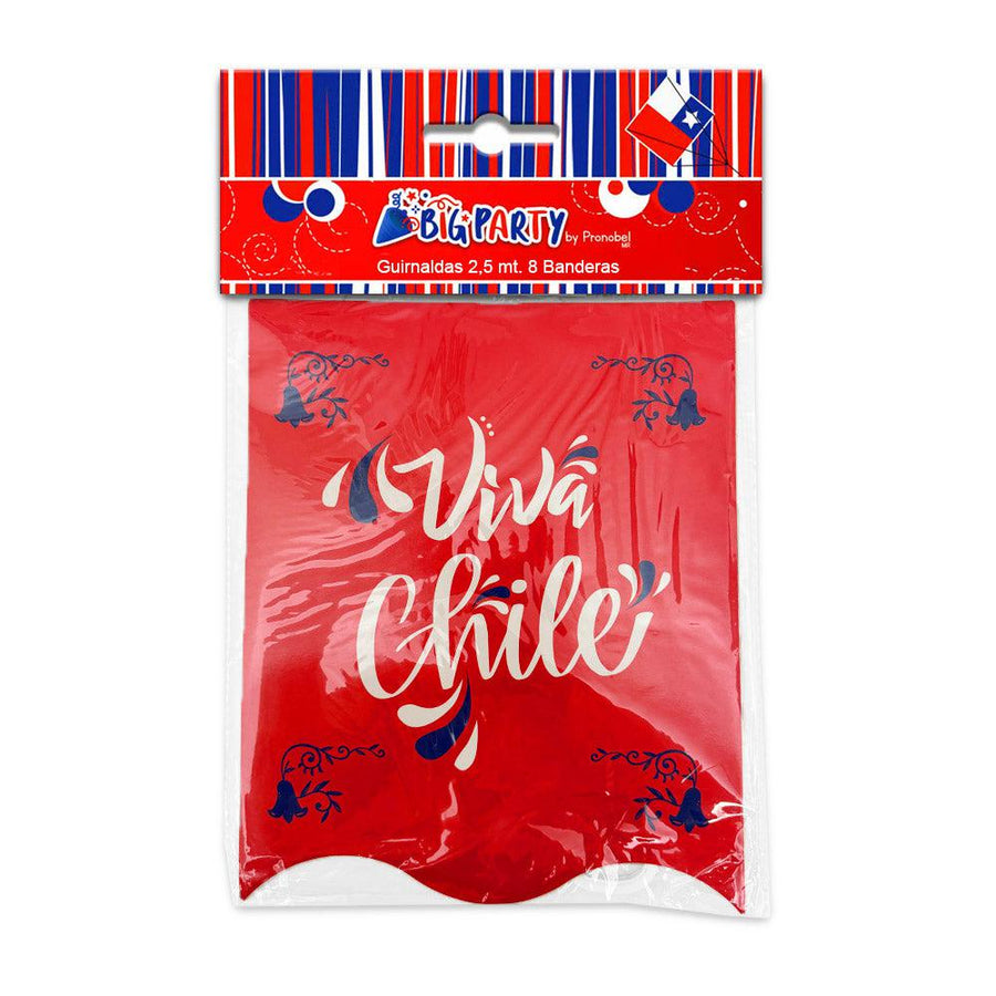 Un paquete rojo, blanco y azul de banderines de carton de fiesta que dicen "Viva Chile".