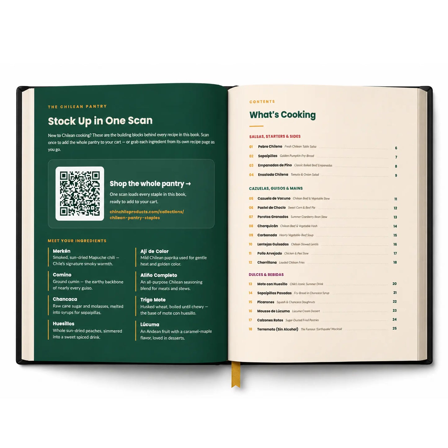 Open book with green and beige pages displaying a table of contents and introductory text.