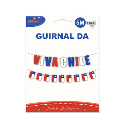 Embalaje de una pancarta "Vivachile" con diseño de bandera chilena sobre fondo blanco.