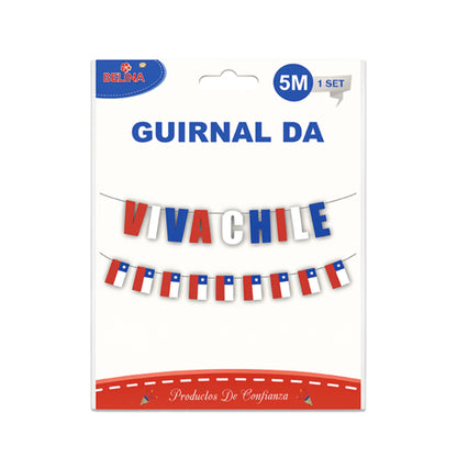 Packaging of a 'Vivachile' banner with Chilean flag design on a white background.
